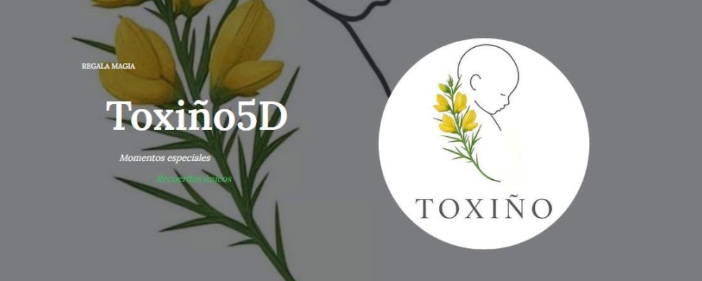 banner-0-TOXIÑO 5D