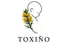 Logo-TOXIÑO 5D